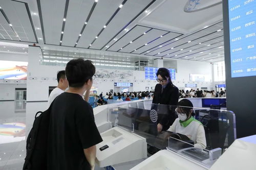 南铁单日旅客发送量创历史新高，旅游信息咨询量激增